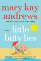 Little bitty lies : a novel