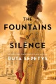 The fountains of silence : a novel
