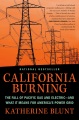 California burning : the fall of Pacific Gas and Electric--and what it means for America