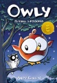 Owly. 3, Flying lessons