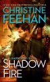 Shadow fire : a shadow riders novel