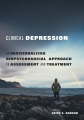 Clinical depression : an individualized, biopsychosocial approach to assessment and treatment