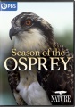 Season of the osprey