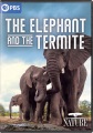 The elephant and the termite