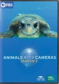 Animals with cameras. Season 2
