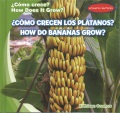 ¿Cómo crecen los plátanos? = How do bananas grow?