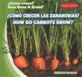 ¿Cómo crecen las zanahorias? = How do carrots grow?