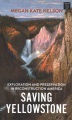 Saving Yellowstone [large print] : exploration and preservation in Reconstruction America