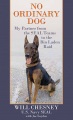 No ordinary dog : my partner from the SEAL Teams to the Bin Laden raid