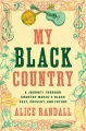 My black country : chasing the hidden roots and flowers of black country music genius