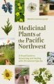 Medicinal plants of the Pacific Northwest : a visual guide to harvesting and healing with 35 common species