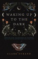 Waking up to the dark : the Black Madonna