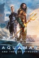 Aquaman and the lost kingdom