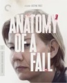 Anatomy of a fall = Anatomie d