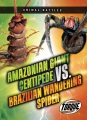 Amazonian giant centipede vs. Brazilian wandering spider