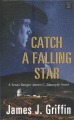 Catch a falling star : a Texas Ranger James C. Blawcyzk novel