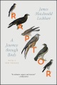 Raptor : a journey through birds : with a new preface