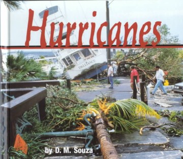Book jacket for Hurricanes