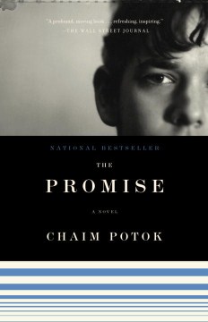 Book jacket for The promise