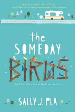 Book jacket for The someday birds