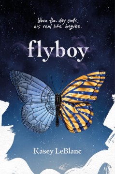 Book jacket for Flyboy