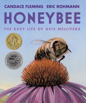Cover art for Honeybee : the busy life of apis mellifera