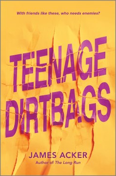 Book jacket for Teenage dirtbags