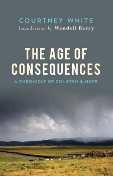 Cover art for The age of consequences : a chronicle of hope and concern