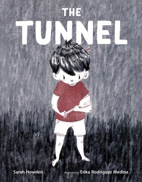 Book jacket for The tunnel