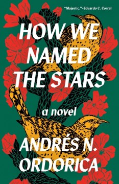 Book jacket for How we named the stars