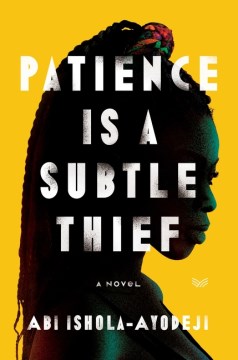Patience is a subtle thief : a novel