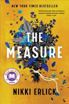 The measure : a novel