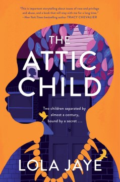 The attic child a novel / Lola Jaye