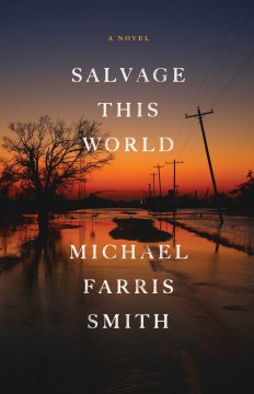 Salvage this world / Michael Farris Smith.