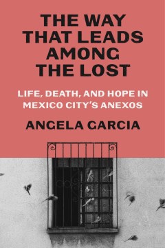 The way that leads among the lost : life, death, and hope in Mexico City's anexos