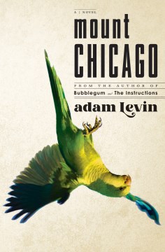 Mount Chicago : a novel / Adam Levin.