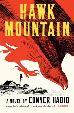 Hawk Mountain : a novel