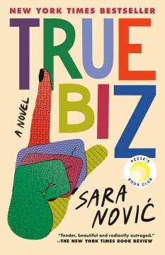 True biz a novel / Sara Novic.