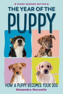 Year of the Puppy : How a Puppy Becomes Your Dog
