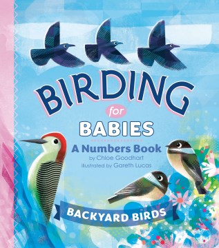Backyard birds : a numbers book
