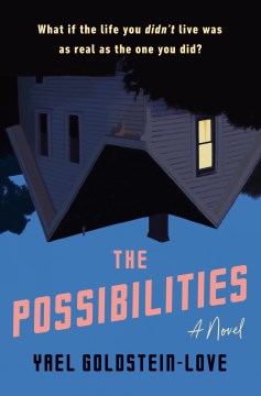 The possibilities : a novel