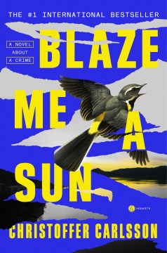 Blaze me a sun : a novel about a crime / Christoffer Carlsson ; translated by Rachel Willson-Broyles.