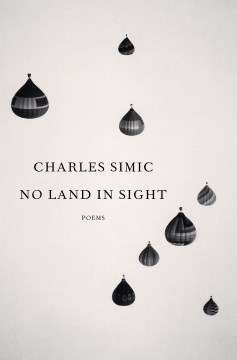 No Land in Sight : Poems