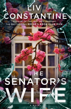 The senator's wife : a novel
