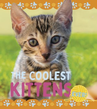 The Coolest Kittens