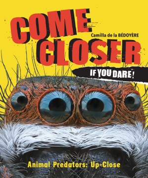 Come Closer If You Dare! : Animal Predators Up Close