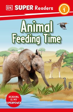 Animal Feeding Time
