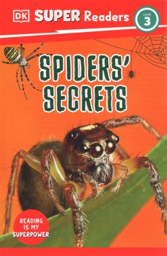 Spiders Secrets