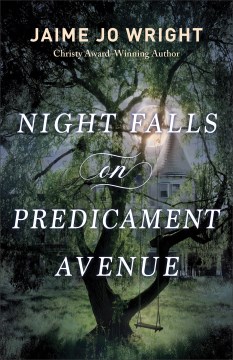 Night falls on Predicament Avenue