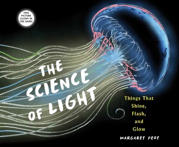 The science of light : things that shine, flash, and glow